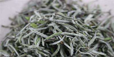茶葉上的茸毛是什么？茶葉加工設(shè)備告訴你